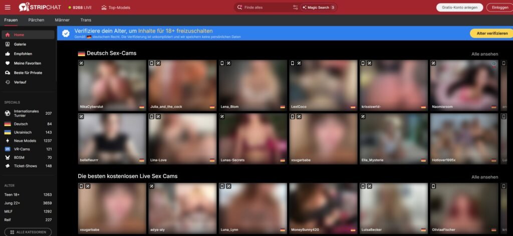 Stripchat website